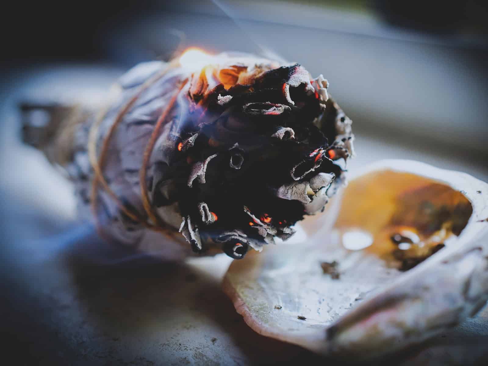 Ein Bündel weißer Salbei liegt in einer Muschel, aus der Rauch aufsteigt.