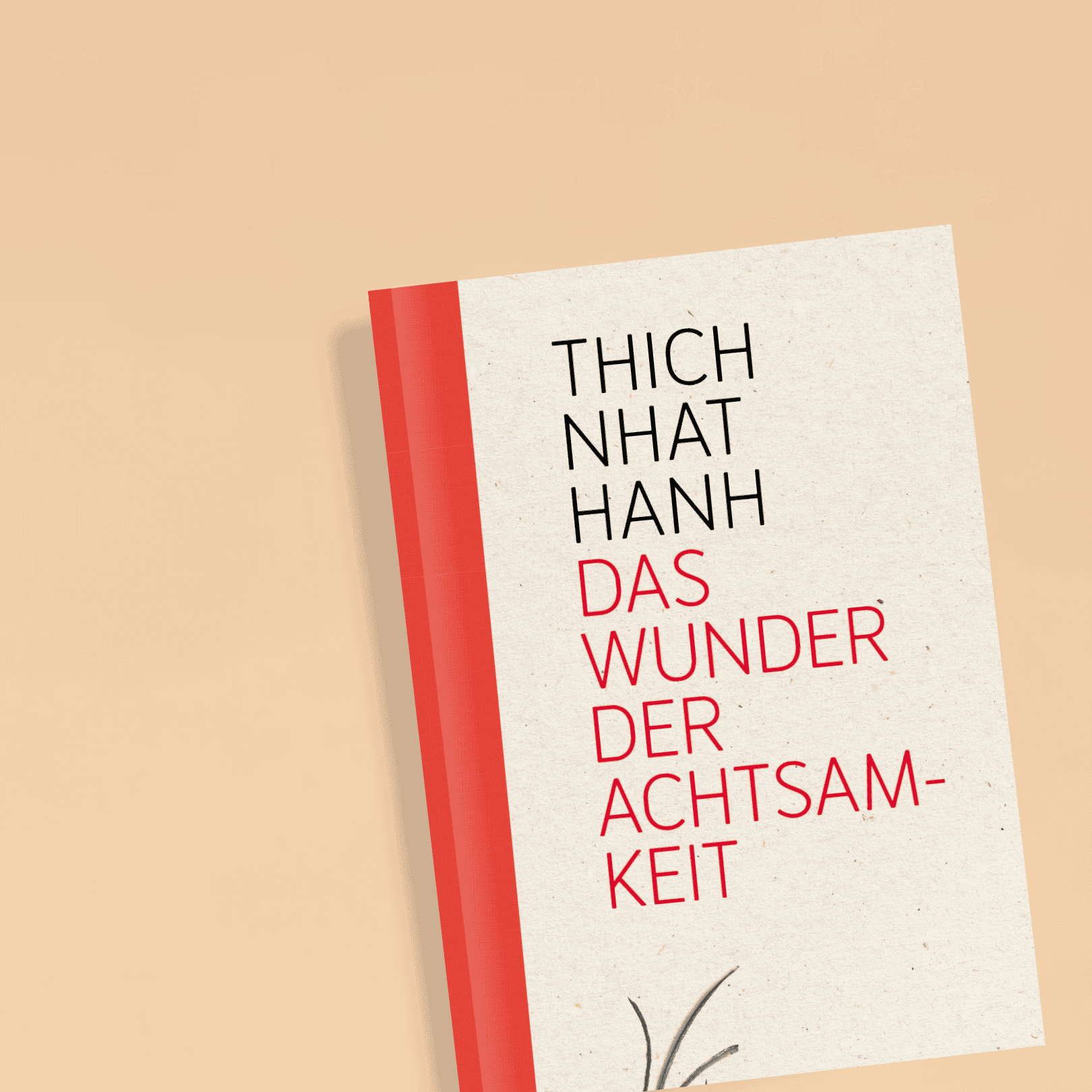 Buchcover von „Das Wunder der Achtsamkeit“ von Thich Nhat Hanh auf ruhigem Hintergrund