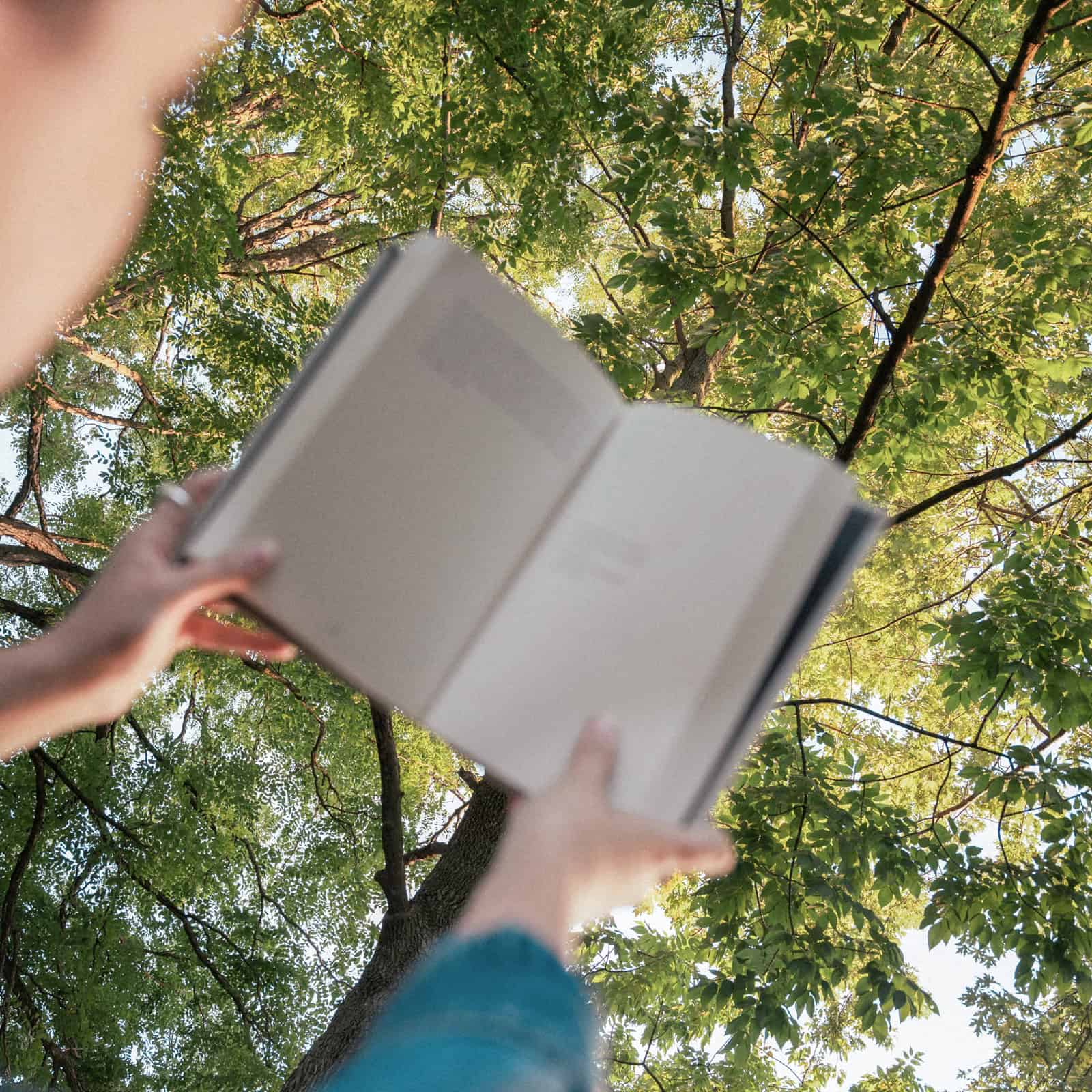 Person hält ein aufgeschlagenes Buch unter grünen Baumkronen, Synonym für spirituelle Bücher