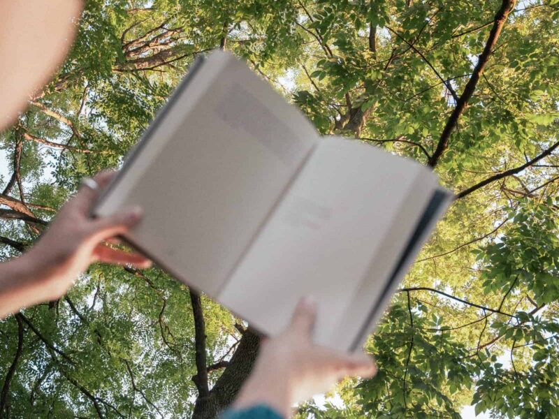 Person hält ein aufgeschlagenes Buch unter grünen Baumkronen, Synonym für spirituelle Bücher